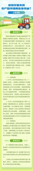 自然災(zāi)害來襲，農(nóng)戶如何保障自身權(quán)益？